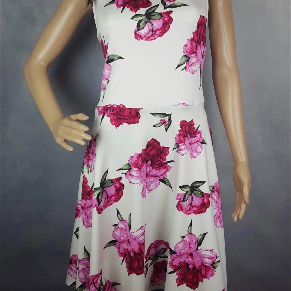 Agnes & Dora Fisher dress